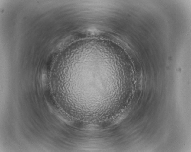 X0000082140222200701191152