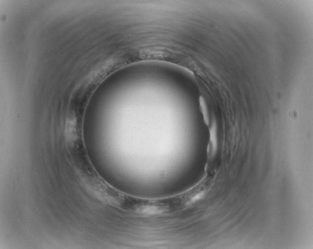 X0000082140224200701191152