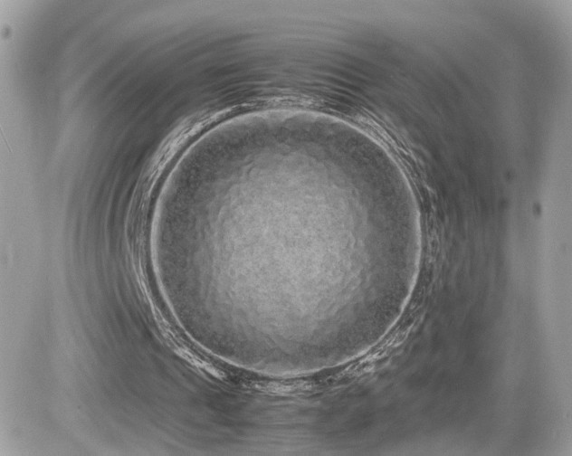 X0000082140241200701191151