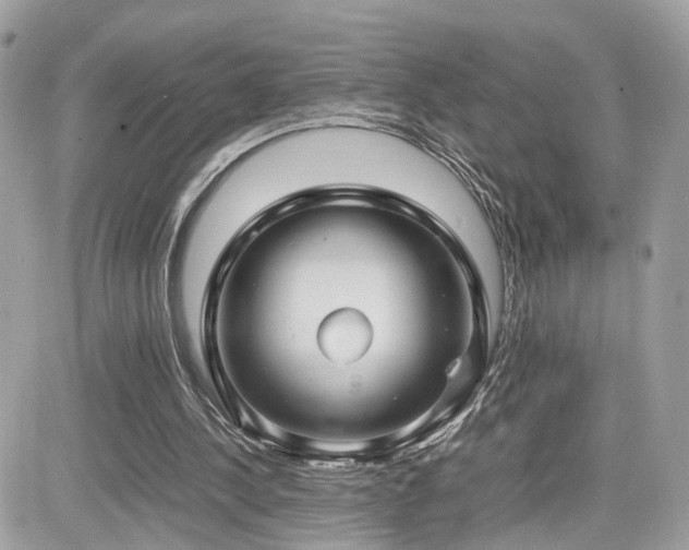 X0000082140244200701191151