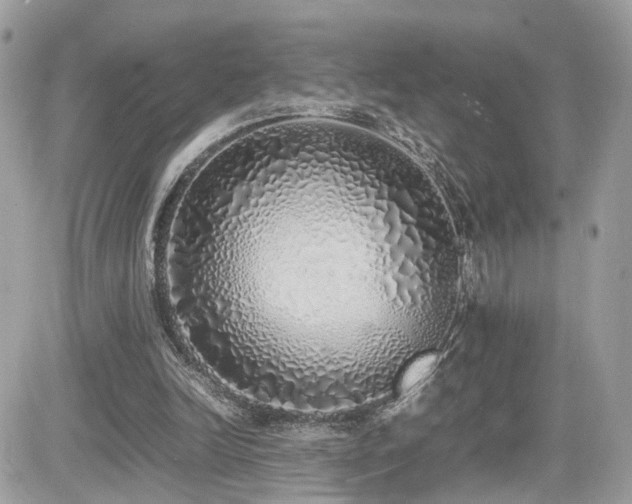 X0000082140246200701191151