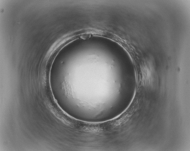 X0000082140247200701191151