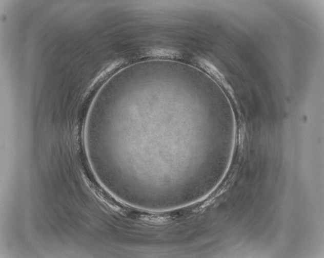 X0000082140249200701191151