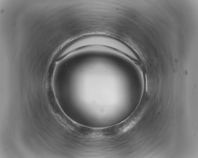 X0000082140252200701191151