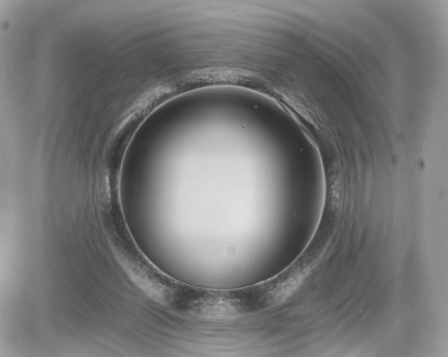 X0000082140254200701191151