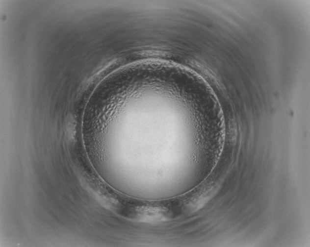 X0000082140255200701191151