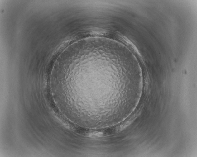 X0000082140257200701191151