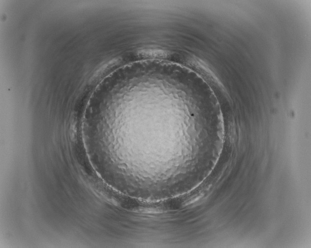 X0000082140259200701191151