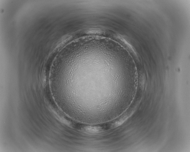 X0000082140261200701191151