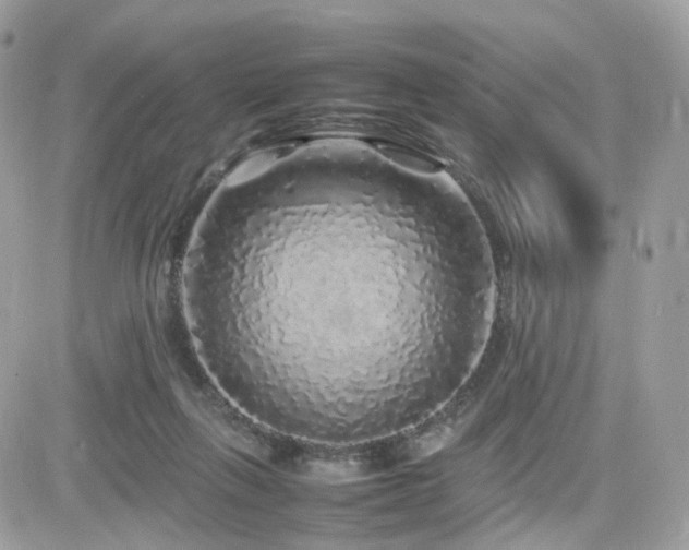 X0000082140263200701191151