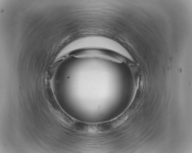 X0000082140264200701191151
