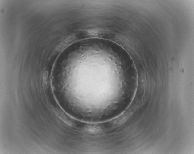 X0000082140275200701191151