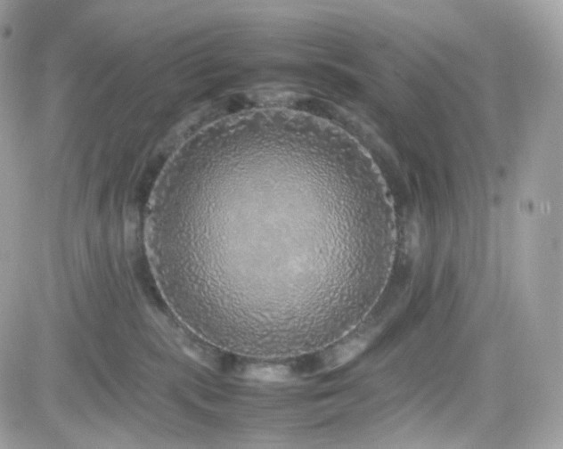 X0000082140283200701191151
