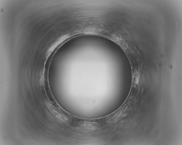 X0000082140292200701191151