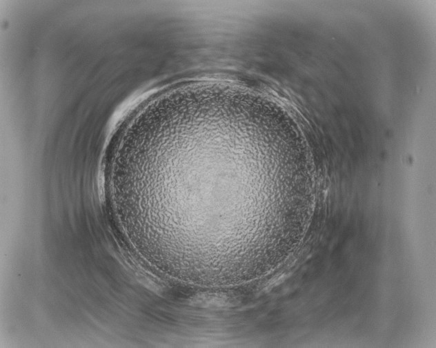 X0000082140294200701191151