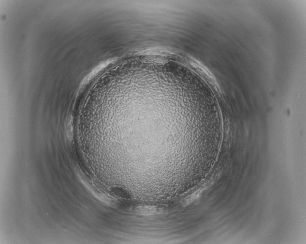 X0000082140298200701191151
