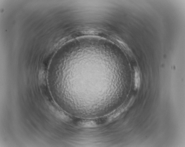 X0000082140322200701191150