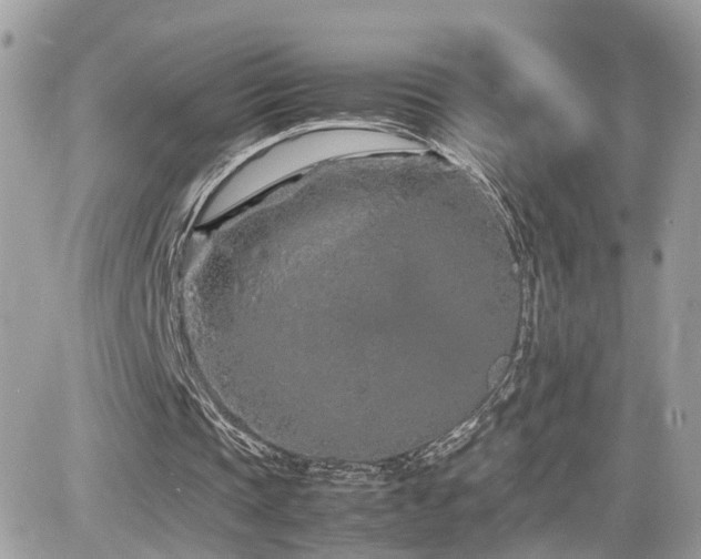 X0000082140337200701191149