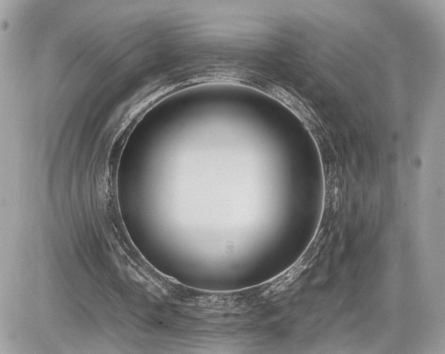X0000082140338200701191149