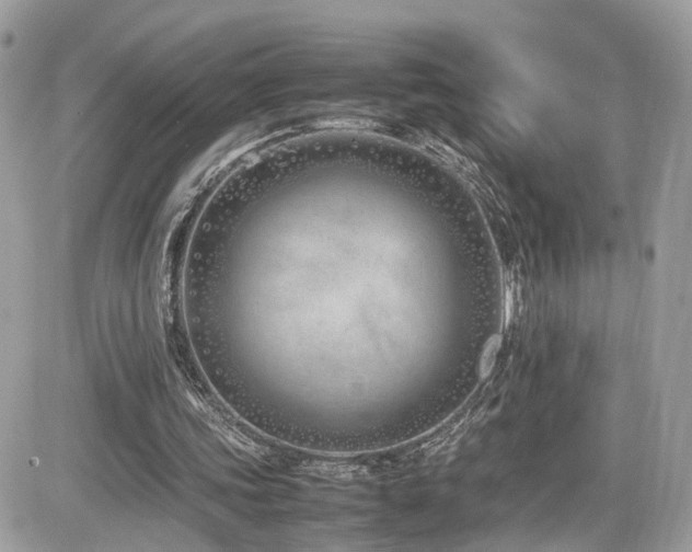 X0000082140339200701191149