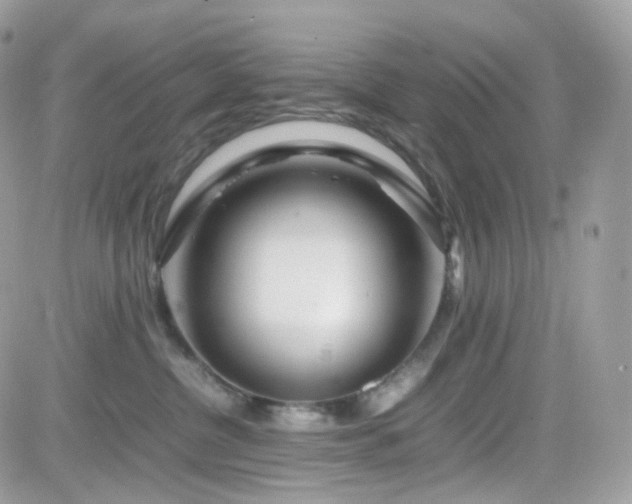 X0000082140380200701191150