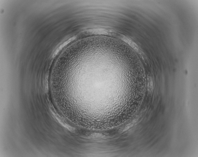 X0000082140390200701191149