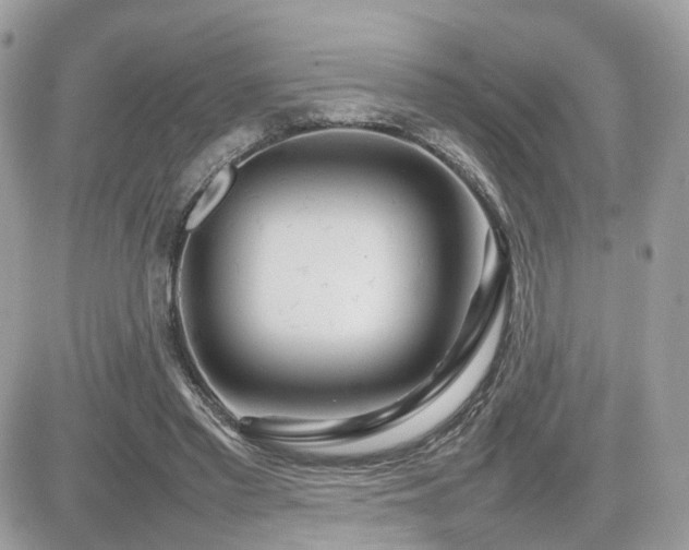 X0000082140397200701191149