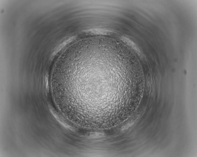 X0000082140398200701191149