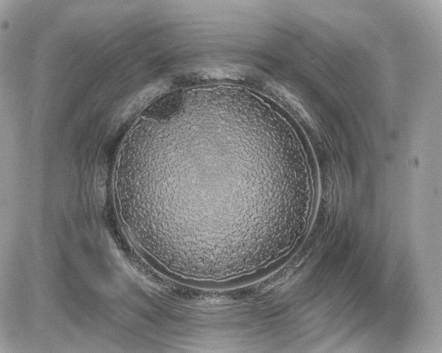 X0000082140402200701191149