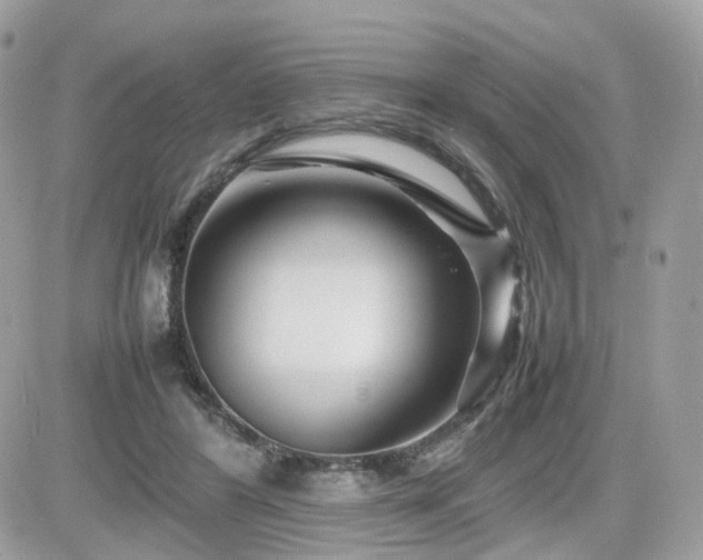 X0000082140404200701191149