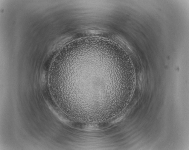 X0000082140410200701191149