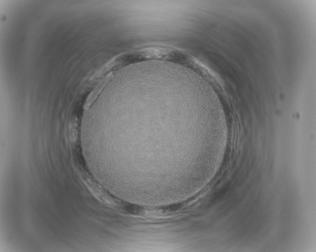 X0000082140413200701191149
