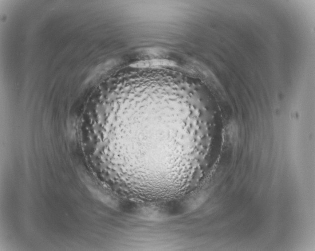 X0000082140423200701191149
