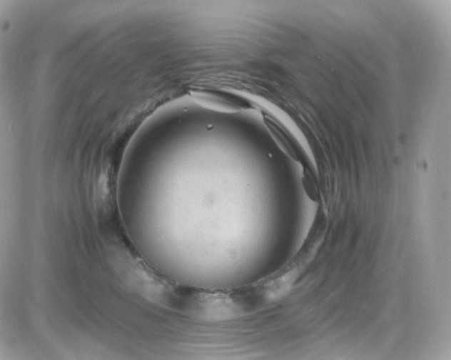 X0000082140424200701191149