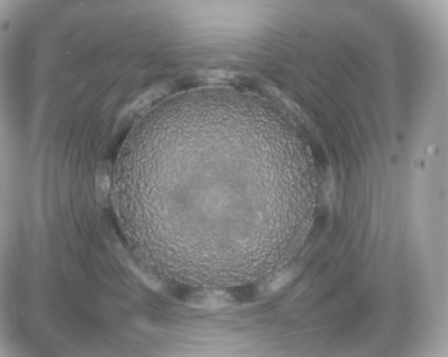 X0000082140427200701191149
