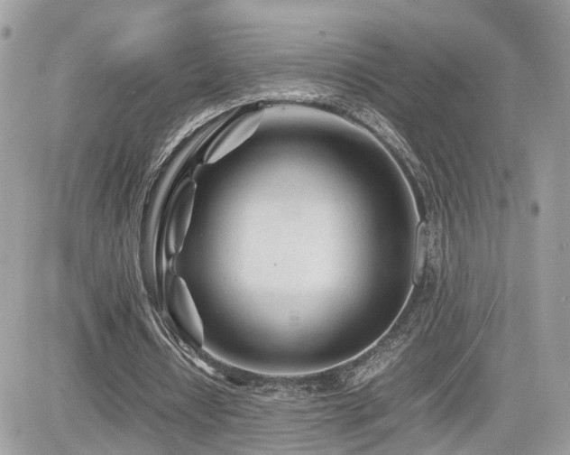 X0000082140434200701191148