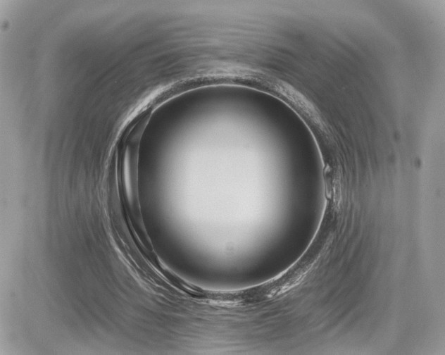 X0000082140436200701191148