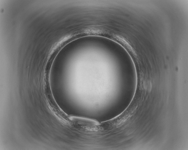 X0000082140439200701191148