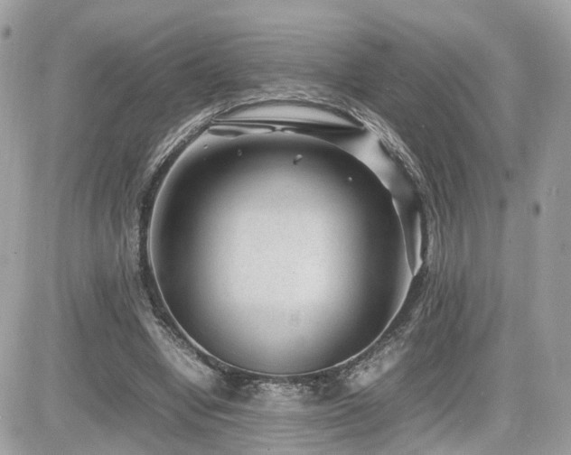 X0000082140442200701191148