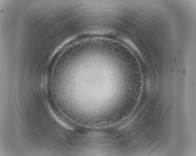 X0000082140444200701191148