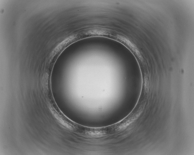 X0000082140445200701191148