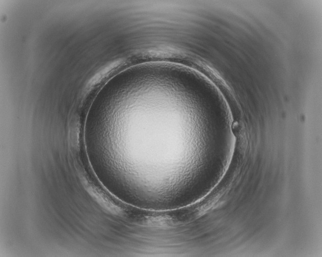 X0000082140446200701191148