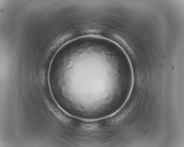 X0000082140447200701191148