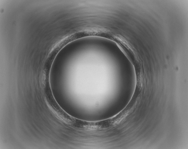 X0000082140448200701191148