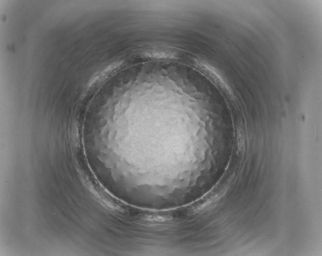 X0000082140453200701191148