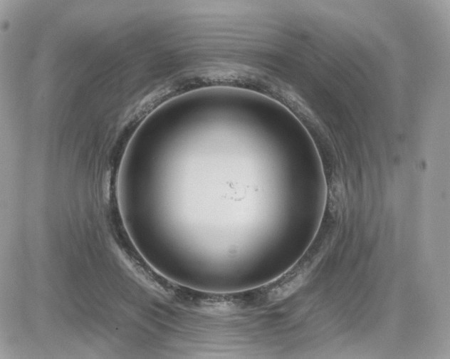 X0000082140454200701191148