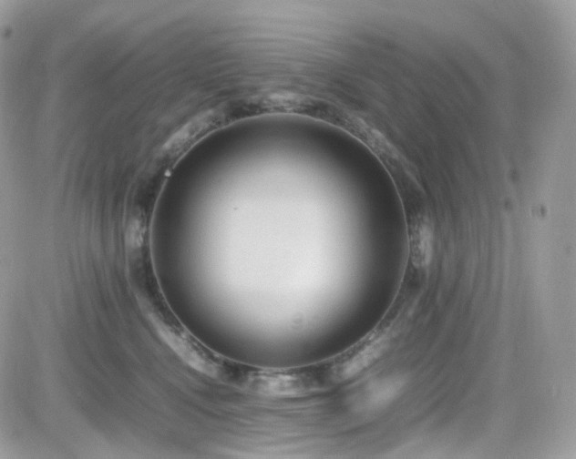 X0000082140472200701191148
