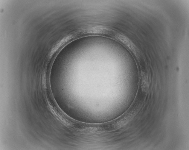 X0000082140482200701191148