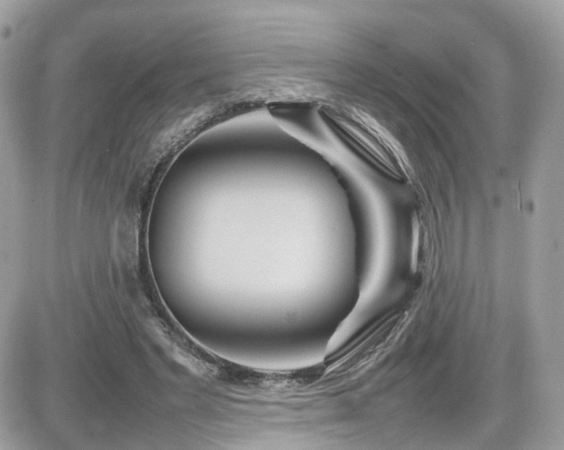 X0000082140493200701191147