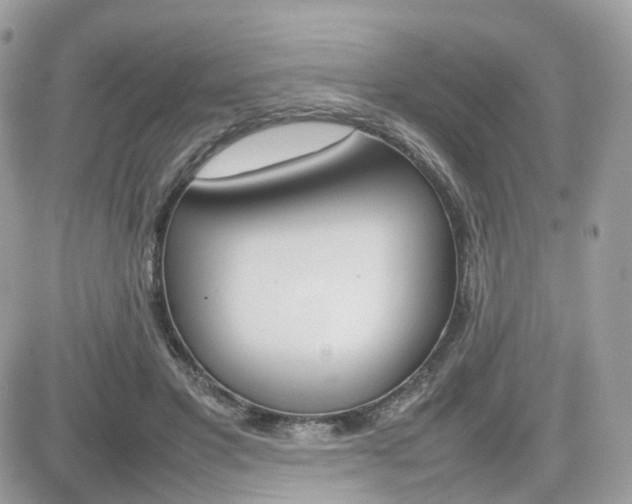 X0000082140501200701191147